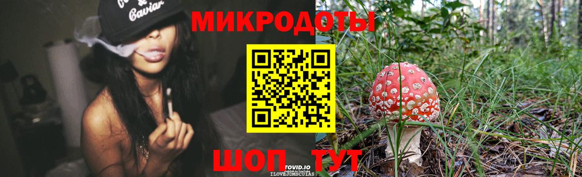 Галлюциногенные грибы Cubensis  наркошоп  Сунжа  Вход с VPN 